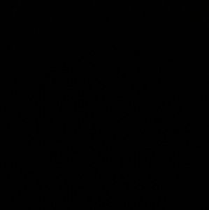 Meet your Posher, Paige